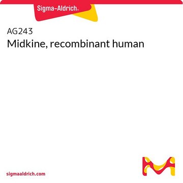 Midkine, recombinant human