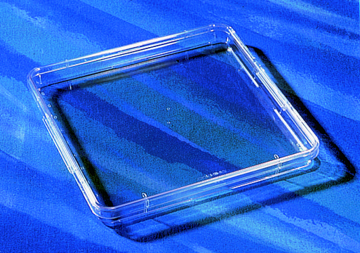 Corning&#174; square bioassay dishes low profile, without handles, not TC treated, square