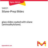 Silane-Prep Slides glass slides coated with silane (aminoalkylsilane).