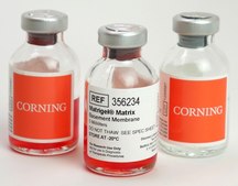 Corning&#174; Matrigel&#174; Growth Factor Reduced (GFR) Basement Membrane Matrix LDEV-Free, pack of 10&#160;mL