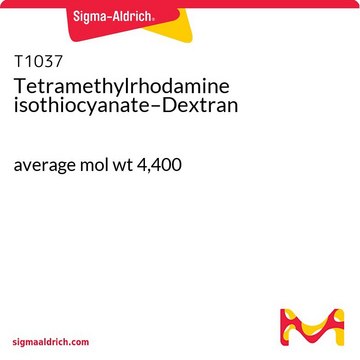 Tetramethylrhodamine isothiocyanate–Dextran average mol wt 4,400