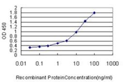 Monoclonal Anti-DDX20 antibody produced in mouse clone 5H5, purified immunoglobulin, buffered aqueous solution