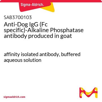 Anti-Dog IgG (Fc specific)-Alkaline Phosphatase antibody produced in goat affinity isolated antibody, buffered aqueous solution