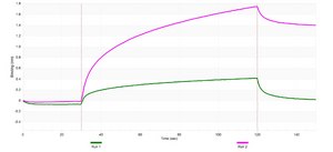 Anti-RANKL/TNFSF11 Antibody, clone 1H17 ZooMAb&#174; Rabbit Monoclonal recombinant, expressed in HEK 293 cells