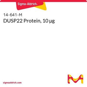 DUSP22 Protein, 10 µg