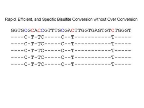 CpGenome Turbo Bisulfite Modification Kit The CpGenome Turbo Bisulfite Modification Kit is designed to simplify &amp; streamline the bisulfite modification process. In just 90 minutes go from DNA sample to bisulfite converted DNA ready for analysis.