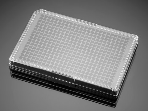 Corning&#174; BioCoat&#8482; Poly-D-Lysine Microplate well size 384&#160;wells, flat bottom clear black wells, lid