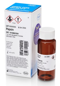 Pepsin lyophilized (salt-free), ~2500 units/mg protein (At 37 &#176;C with hemoglobin as the substrate. One unit is the enzyme activity which liberates the amount of Tyr producing an increase in the absorbance of 0.001/minute at 280 nm.)