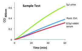 Amylase Activity Assay Kit sufficient for 100&#160;colorimetric&nbsp;tests