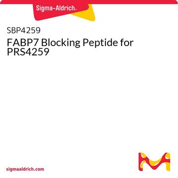 FABP7 Blocking Peptide for PRS4259