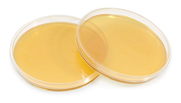 Tryptic Soy Agar 90mm ICR+ Settle plate, irradiated, triple packed, for environmental monitoring (Isolator and Clean room)