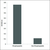 Anti-phospho-CDK7 (pThr170) antibody produced in rabbit affinity isolated antibody