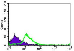 Anti-TGFBR3, clone 1C5H11 Antibody ascites fluid, clone 1C5H11, from mouse