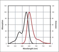 Anti-Human IgG (H+L), highly cross-adsorbed, CF&#8482; 633 antibody produced in donkey ~2&#160;mg/mL, affinity isolated antibody