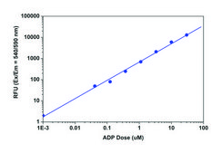 Universal Fluorometric Kinase Assay Kit sufficient for 250 fluorometric tests