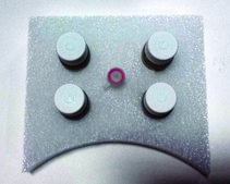 CONTROLLER SIG10 Chemically Competent Cells for controlled protein expression