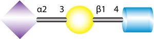3&#8242;-N-Acetylneuraminyl-N-acetyllactosamine sodium salt &#8805;95%