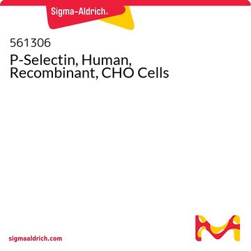 P-Selectin, Human, Recombinant, CHO Cells