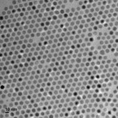 Iron oxide(II,III), magnetic nanoparticles solution 10&#160;nm avg. part. size (TEM), carboxylic acid functionalized, 5&#160;mg/mL Fe in H2O, dispersion