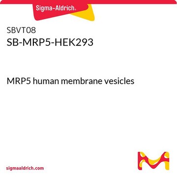 SB-MRP5-HEK293 MRP5 human membrane vesicles