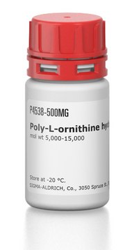 Poly-L-ornithine hydrobromide mol wt 5,000-15,000