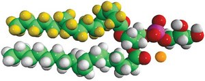 16:0-d31-18:1 PG 1-palmitoyl-d31-2-oleoyl-sn-glycero-3-[phospho-rac-(1-glycerol)] (sodium salt), powder