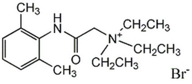 QX-314 A quaternary lidocaine derivative, permanently charged, and lipophobic.