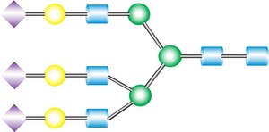 A3 Glycan from bovine, &#8805;90% (HPLC)