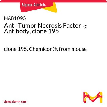 Anti-Tumor Necrosis Factor-&#945; Antibody, clone 195 clone 195, Chemicon&#174;, from mouse