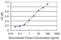 Monoclonal Anti-CYP46A1 antibody produced in mouse clone 2B5, purified immunoglobulin, buffered aqueous solution