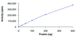 FLT4 (800-end), active, GST tagged human PRECISIO&#174; Kinase, recombinant, expressed in baculovirus infected Sf9 cells, &#8805;70% (SDS-PAGE), buffered aqueous glycerol solution
