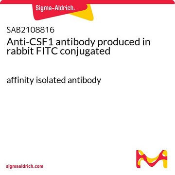 Anti-CSF1 antibody produced in rabbit FITC conjugated affinity isolated antibody