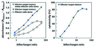 KitPLUS de détection de cytotoxicité&nbsp;(LDH) sufficient for 400&#160;multiwell tests (04744926001), sufficient for 2,000&#160;multiwell tests (04744934001), kit of 1 (4 components), suitable for protein quantification, suitable for cell analysis, detection