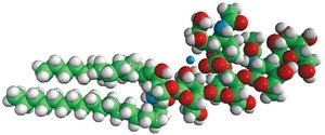 Ganglioside GM1 (Ovine Brain) Avanti Research&#8482; - A Croda Brand