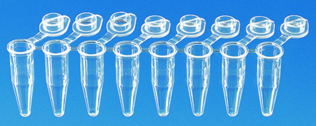 BRAND&#174; PCR tubes, strips of 8 attached transparent single caps, standard profile, capacity 0.2&#160;mL, white wells