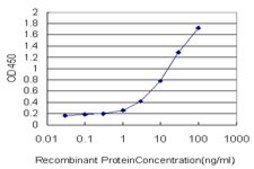 Monoclonal Anti-LAMC1 antibody produced in mouse clone M1, purified immunoglobulin, buffered aqueous solution