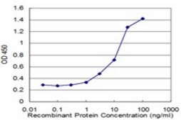 Monoclonal Anti-HMGCS2, (C-terminal) antibody produced in mouse clone 1E9, purified immunoglobulin, buffered aqueous solution