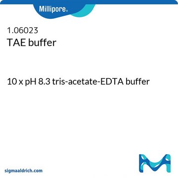 TAE buffer 10 x pH 8.3 tris-acetate-EDTA buffer