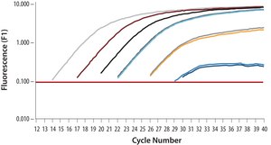 SYBR&#174; Green Quantitative RT-qPCR Kit One step SYBR&#174; Green RT-qPCR with MMLV &amp; hot-start Taq DNA Polymerase