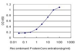ANTI-GRK6 antibody produced in mouse clone 8D4, purified immunoglobulin, buffered aqueous solution