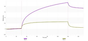 Anti-CDX2 Antibody, clone 1N7 ZooMAb&#174; Rabbit Monoclonal recombinant, expressed in HEK 293 cells