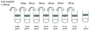 Human MCP-3 / CCL7 ELISA Kit for serum, plasma, cell culture supernatant and urine