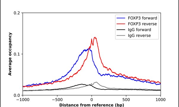 Anti-FOXP3 antibody produced in rabbit Prestige Antibodies&#174; Powered by Atlas Antibodies, affinity isolated antibody