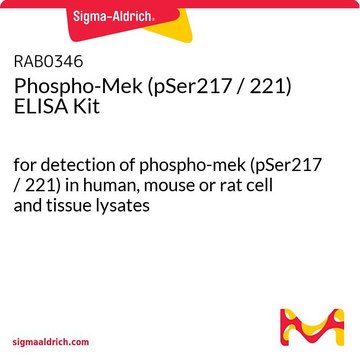 Phospho-Mek (pSer217 / 221) ELISA Kit for detection of phospho-mek (pSer217 / 221) in human, mouse or rat cell and tissue lysates