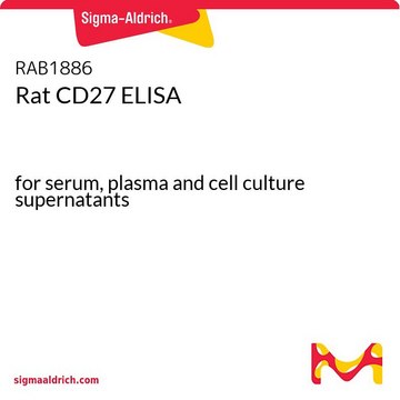 Rat CD27 ELISA for serum, plasma and cell culture supernatants
