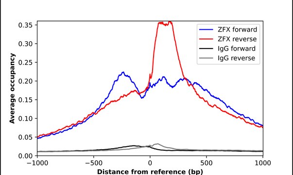 Anti-ZFX antibody produced in rabbit Prestige Antibodies® Powered by Atlas Antibodies, affinity isolated antibody, buffered aqueous glycerol solution