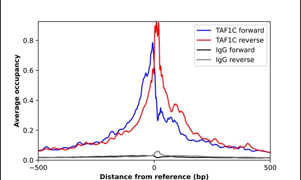 Anti-TAF1C antibody produced in rabbit Prestige Antibodies&#174; Powered by Atlas Antibodies, affinity isolated antibody