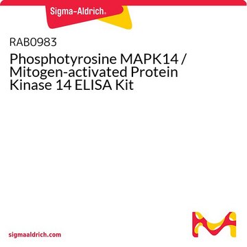 Phosphotyrosine MAPK14 / Mitogen-activated Protein Kinase 14 ELISA Kit