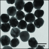 Silver nanospheres 60&#160;nm avg. part. size, 1&#160;mg/mL (aqueous sodium citrate), citrate functionalized
