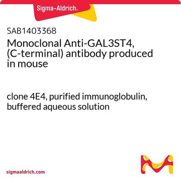 Monoclonal Anti-GAL3ST4, (C-terminal) antibody produced in mouse clone 4E4, purified immunoglobulin, buffered aqueous solution